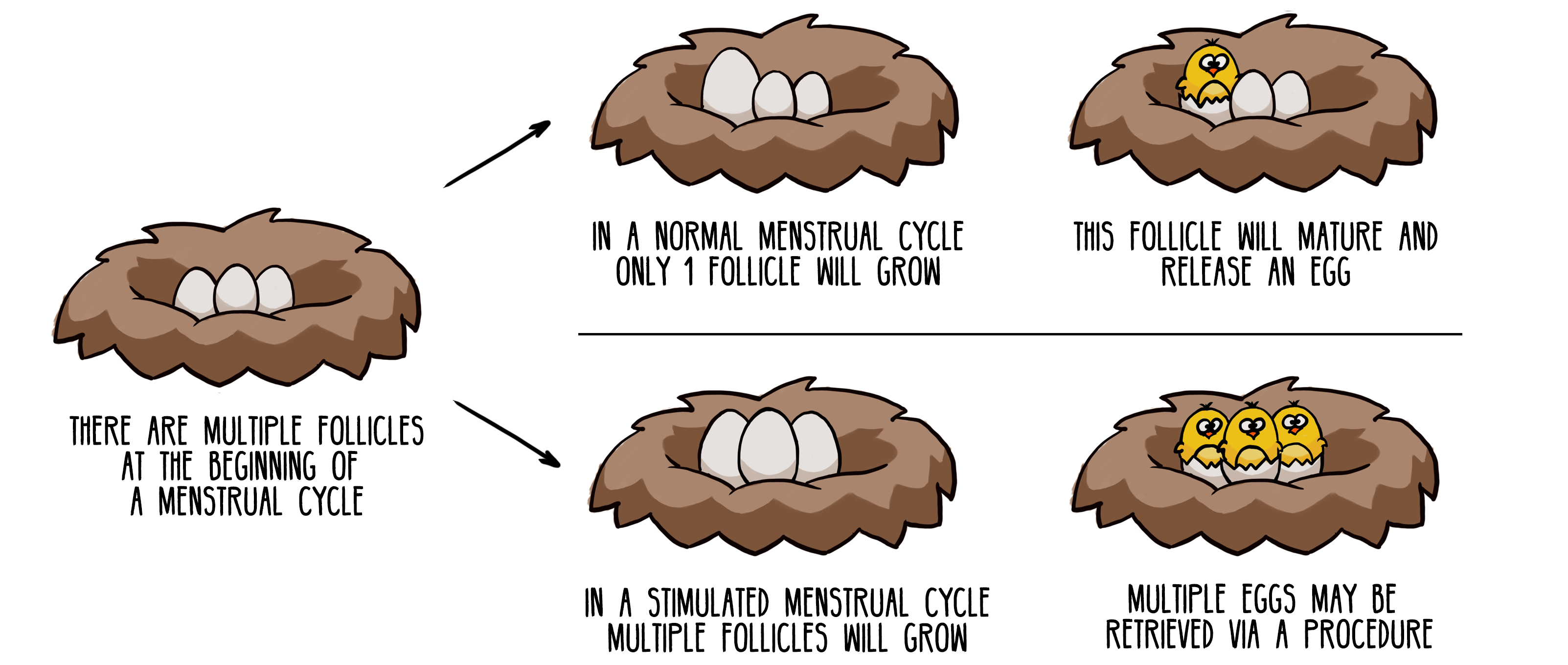 how does egg freezing work